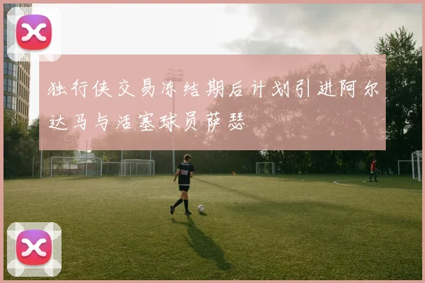 独行侠交易冻结期后计划引进阿尔达马与活塞球员萨瑟
